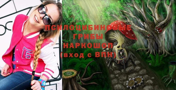 соль ск Гусиноозёрск