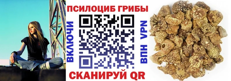 Псилоцибиновые грибы ЛСД  закладка  кракен онион  Муром 