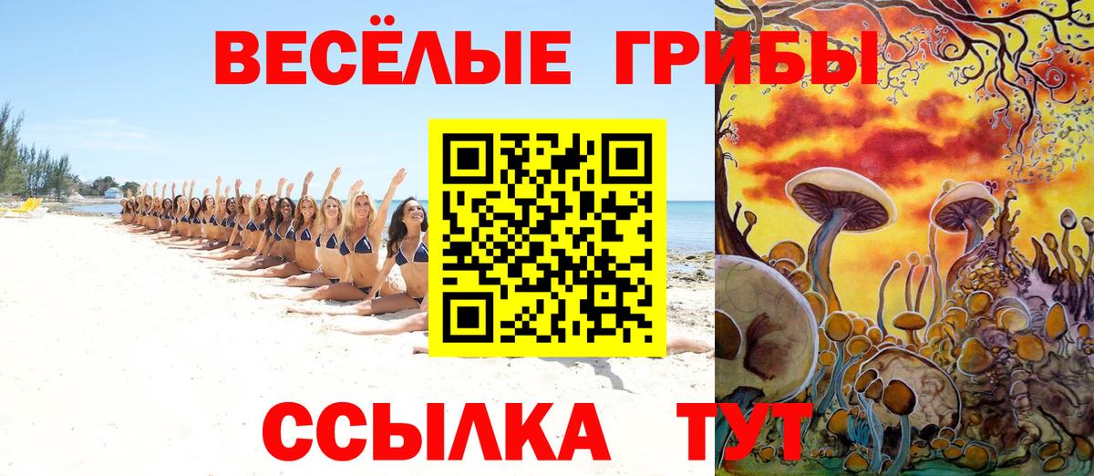 Галлюциногенные грибы Psilocybe Муром